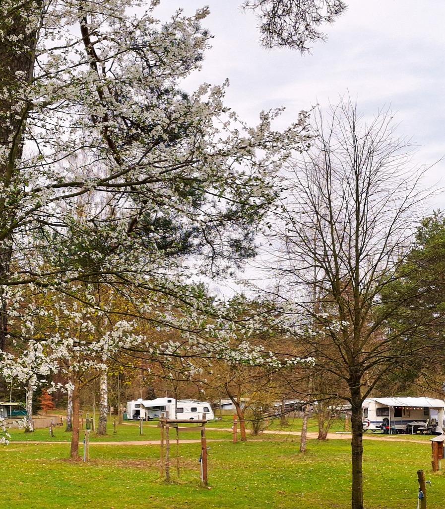 Campingplatz Am Dreetzsee