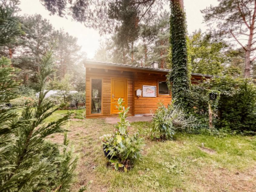 Wald- und Naturcampingplatz am Tonsee Süd