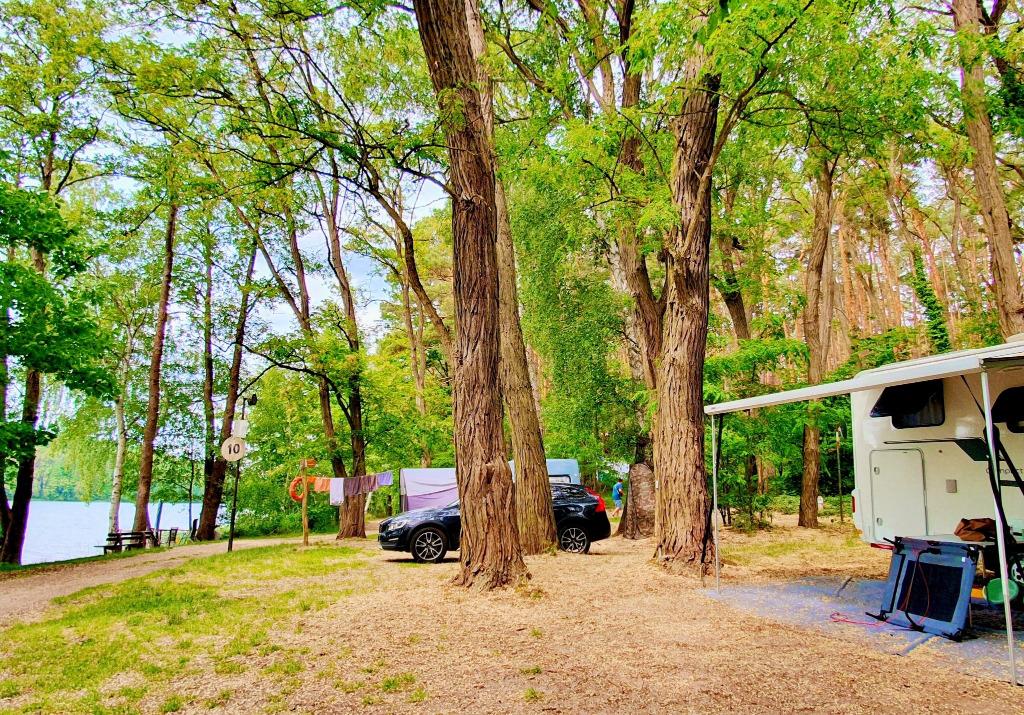 Naturcampingplatz am Springsee