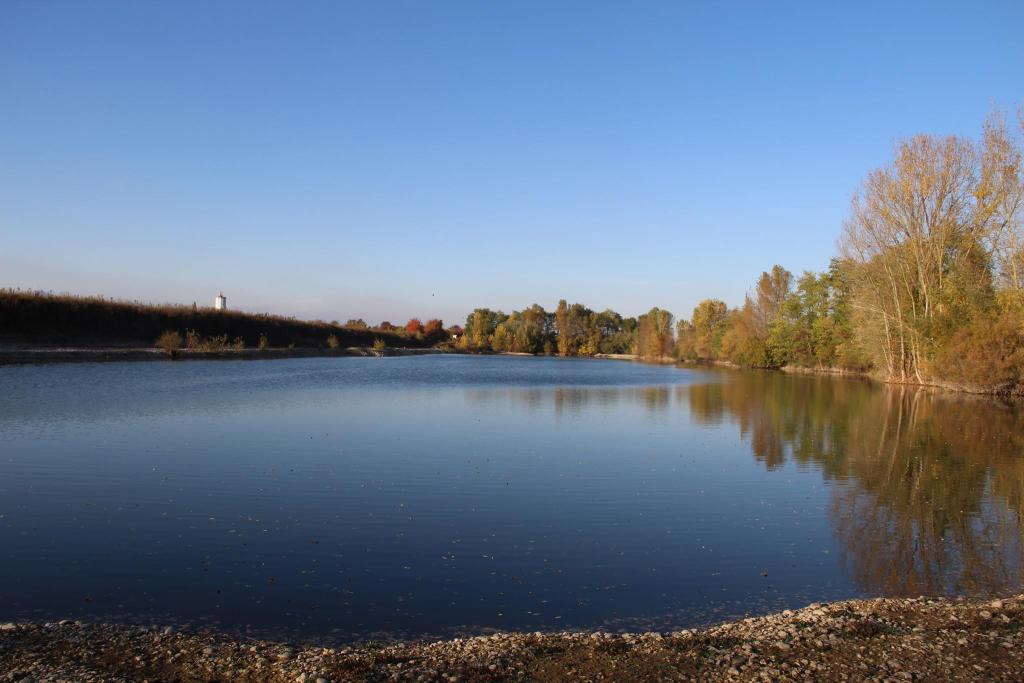Etang Gé de l'Ill
