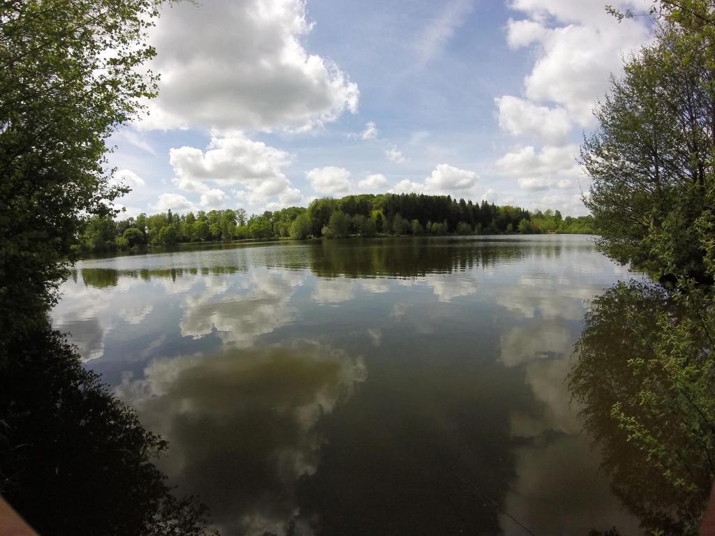 Etang des Moulinots