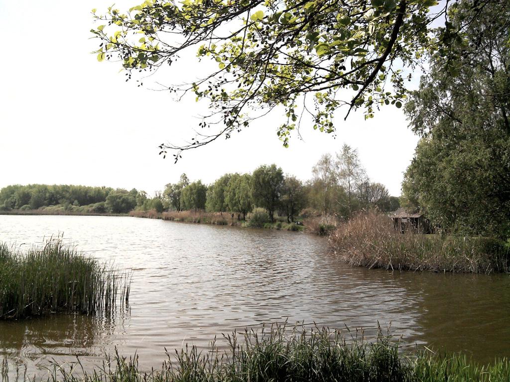 Pölöskei kis tavak