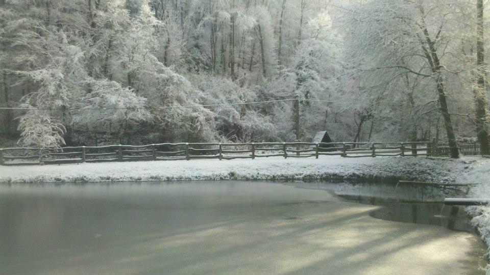 Visegrádi Pisztrángos Tavak és Ördögmalom erdei étterem