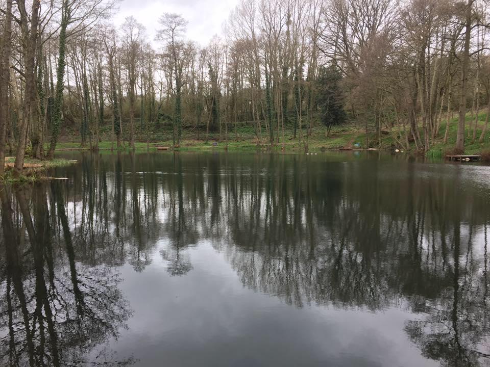 Sandford Pool Trout Fishery