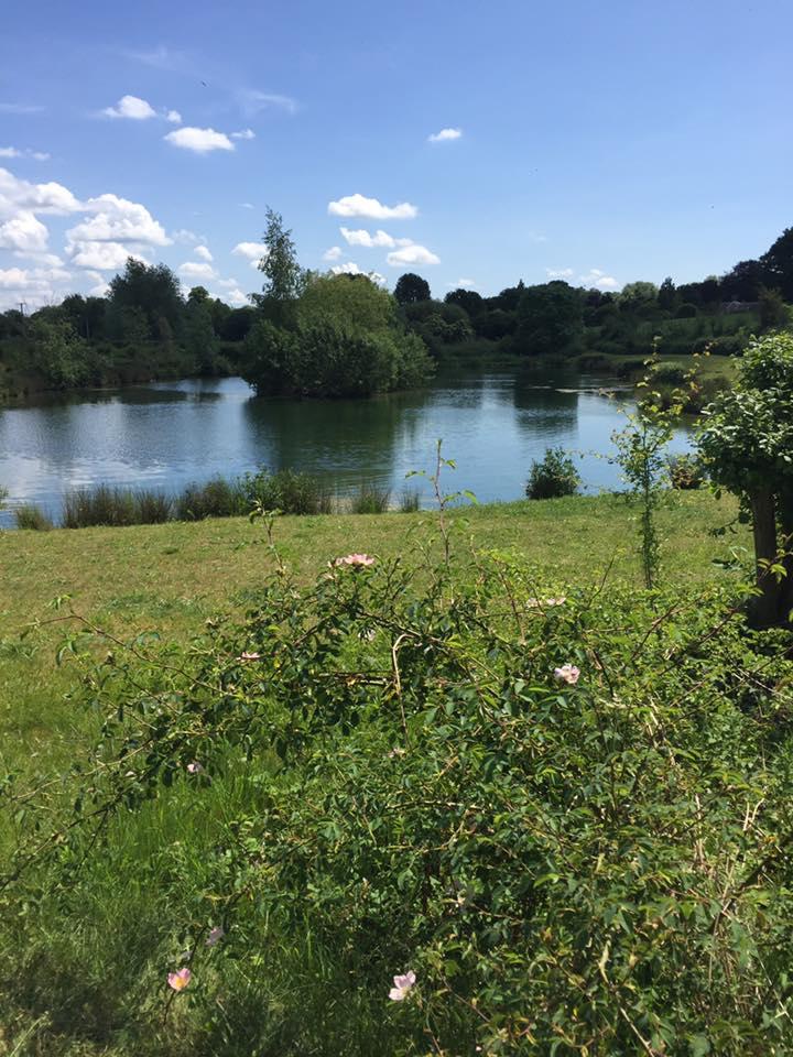 Amport Trout Fishery