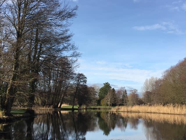 Damerham Trout Fishery