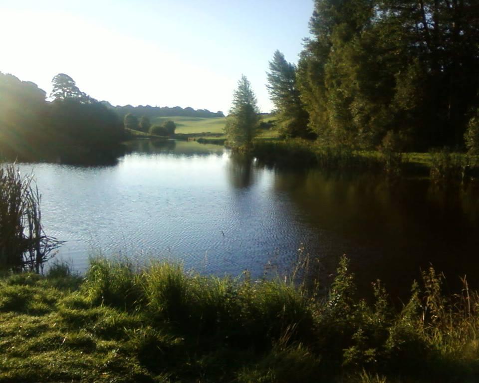 Wal Goch Trout Fishery