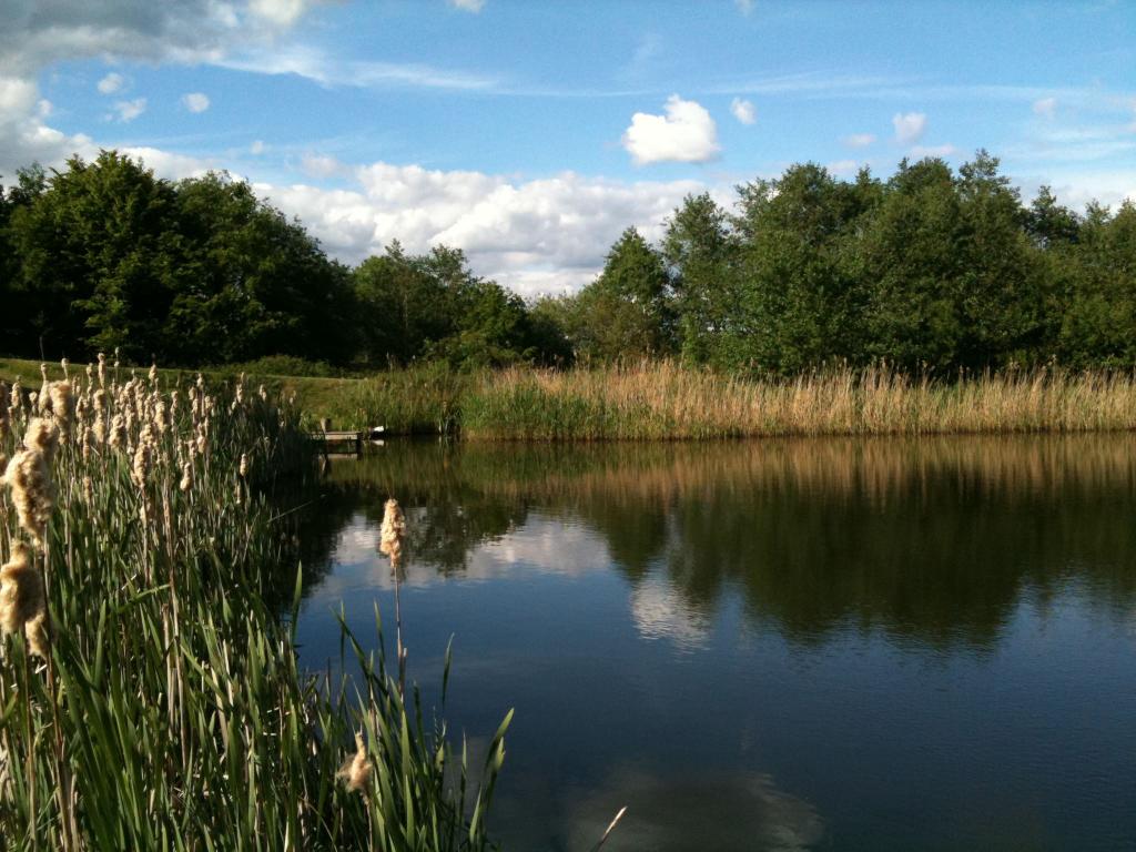 Spring Hill Trout Waters