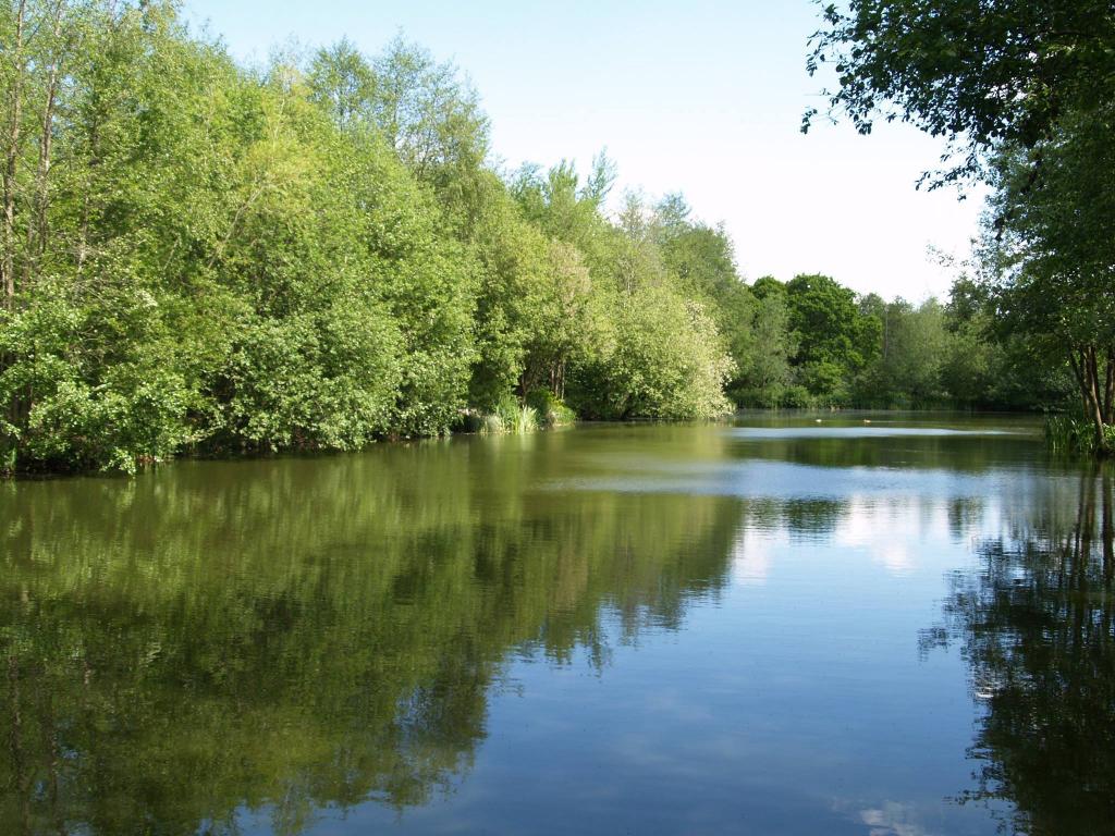 Strawberry Fields Fishery