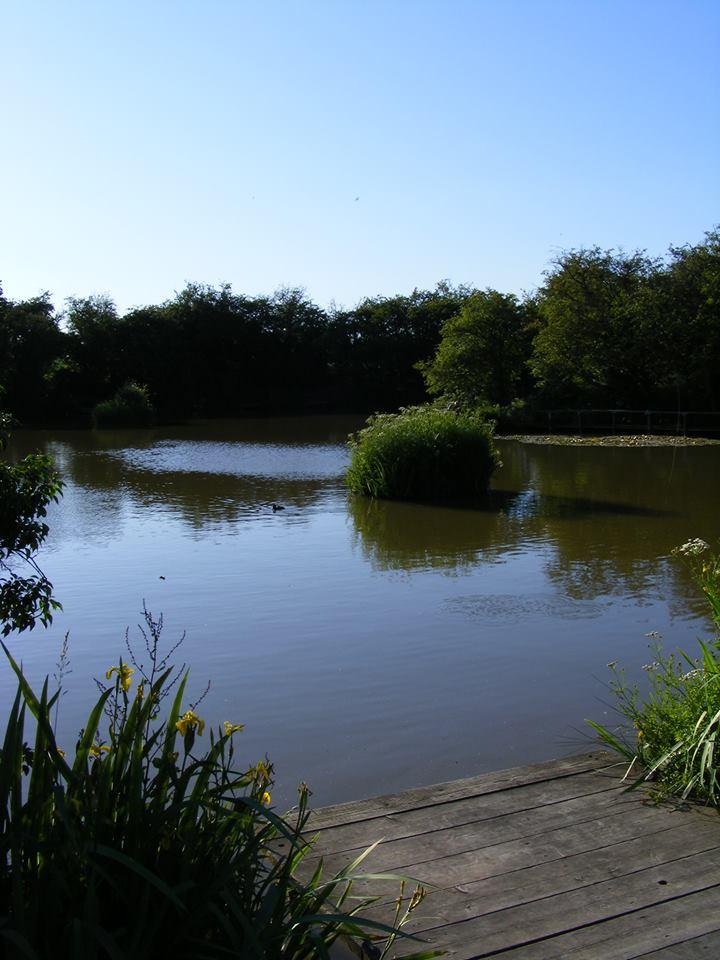 Pool House Farm Fishery