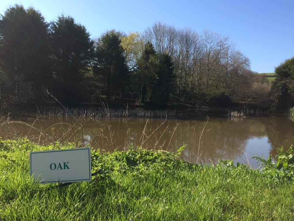 Luccombes Coarse Fishery