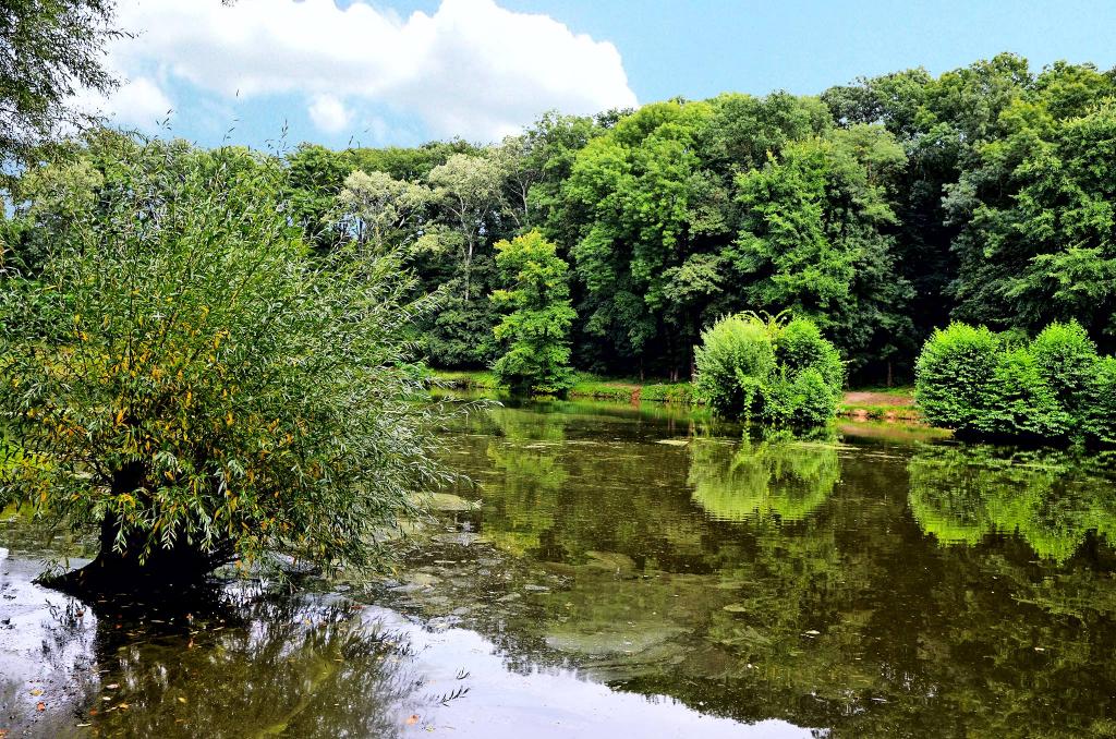 Soukromý rybářský revír - JAKOZ Kroměříž
