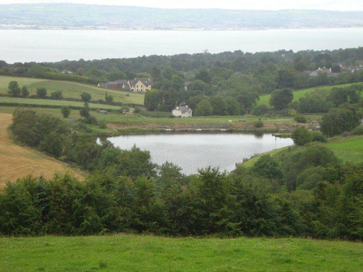 Donaldsons Lake Fishery & Campsite