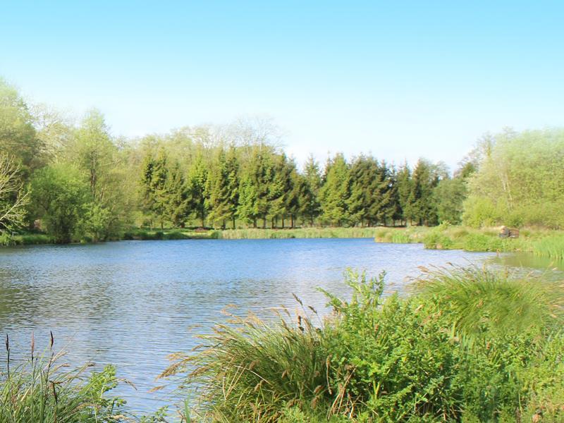 Barn Elms Fishery