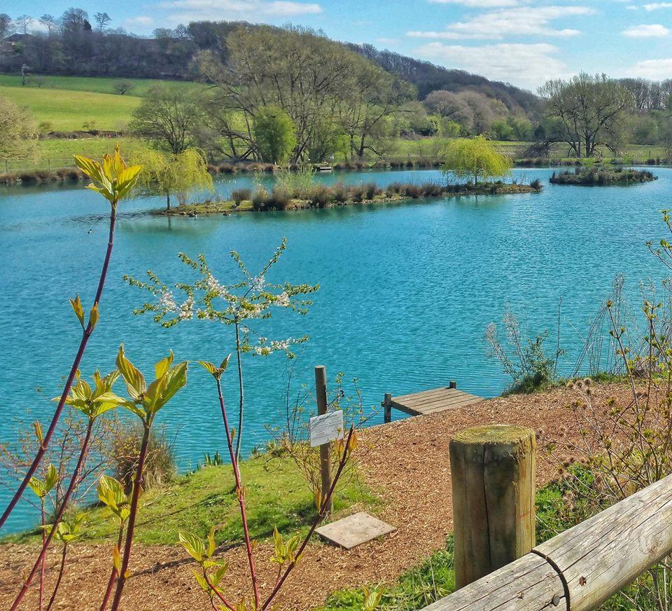 Bells Mill Fishery & The Tackle Den