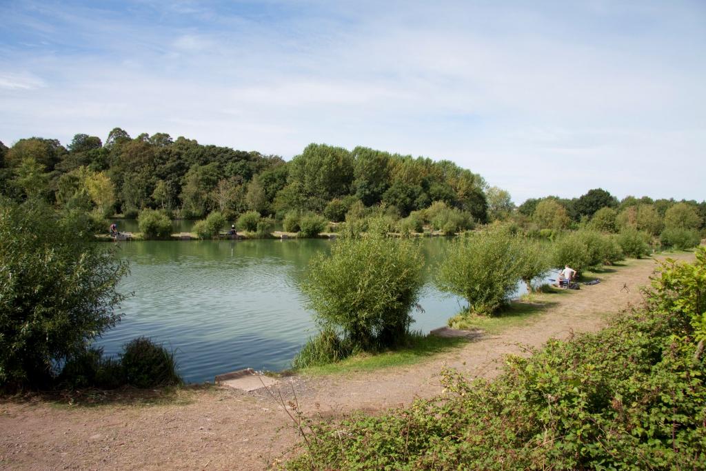 Woodland View Fishery
