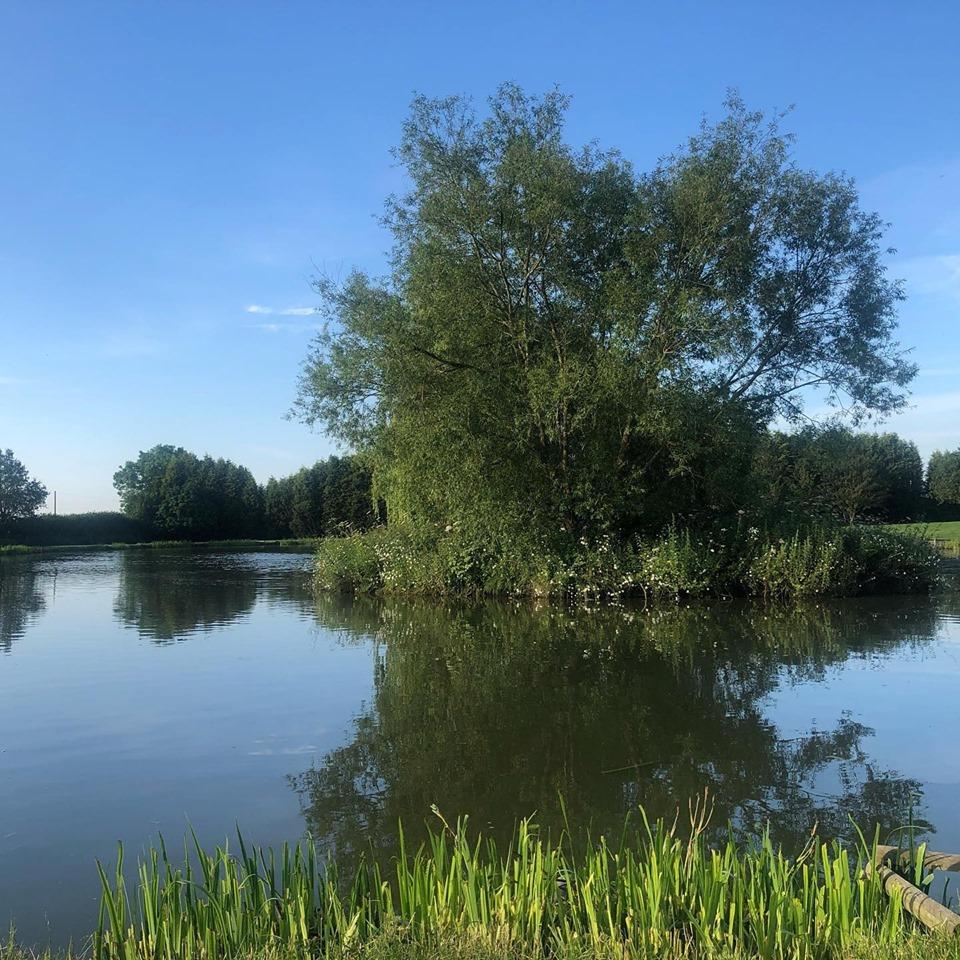 Willow Marsh Fishery