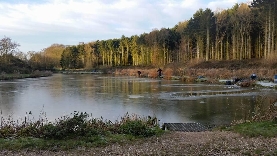 Risby Park Fishing Ponds