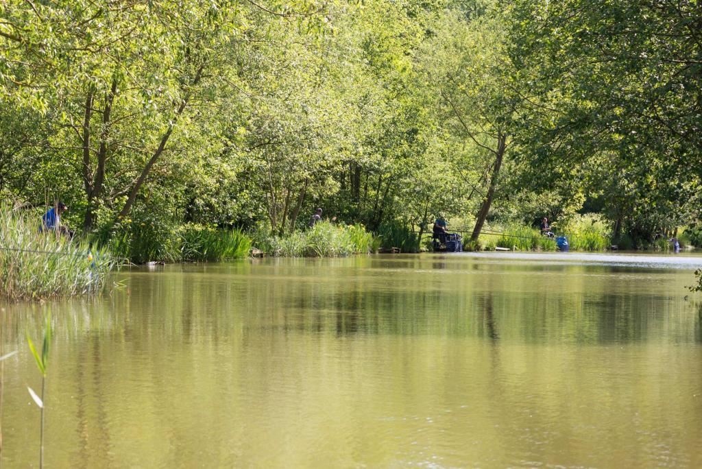 Wassell Grove Fishery