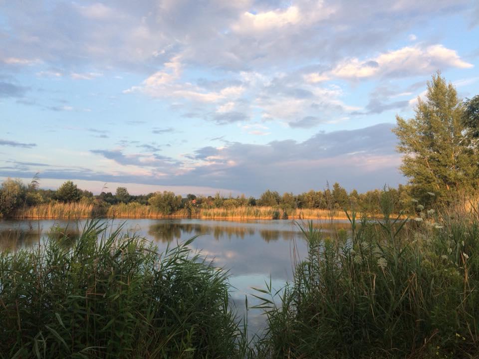 Łowisko karpiowe Chwałowice