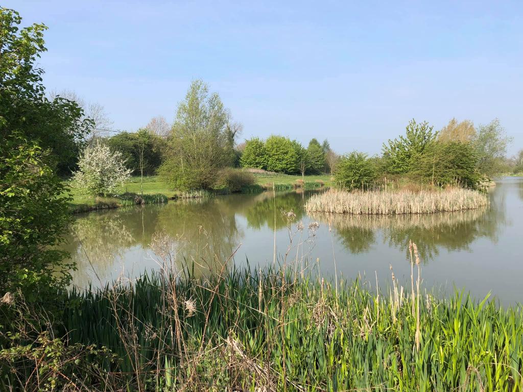 5 Ways Lakes Fishery