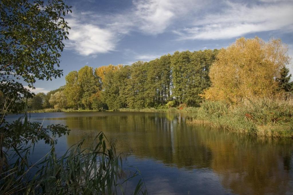 Angelparadies und Teichwirtschaft Thalberg