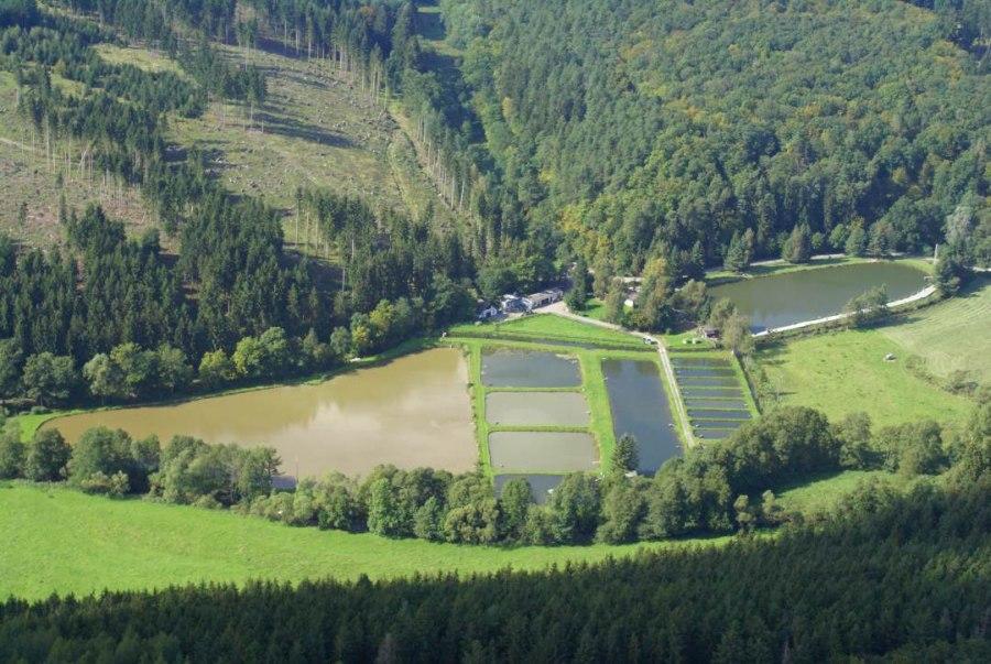 Fischzucht Wagner - Angelpark Wagner