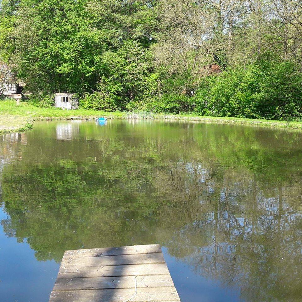 Forellen Angeln im Nachtigallental