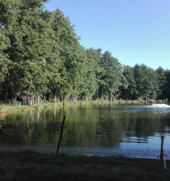 Angelteich - Cvetkovic