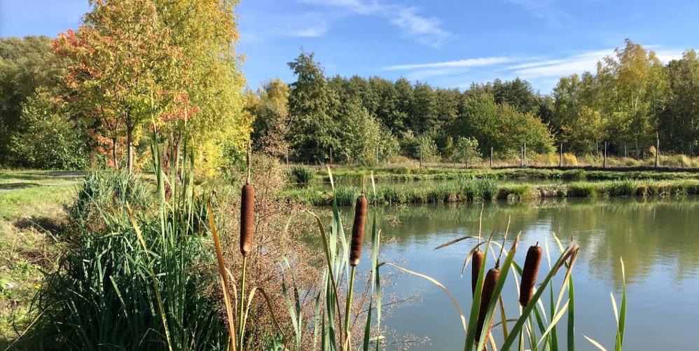 Teichwirtschaft Otto