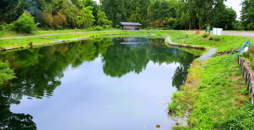 Etangs de la Gite
