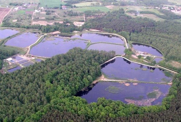 Barbara i Jan Ossowscy