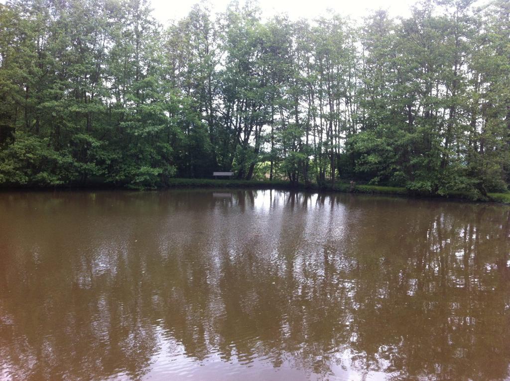 Forellenweiher Föhren