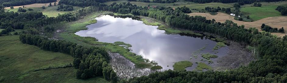 Łowisko szczupaka i lina – Dziewiszewo