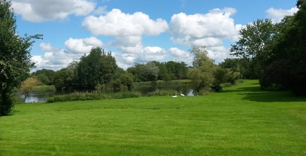 White House Mill Trout Fishery