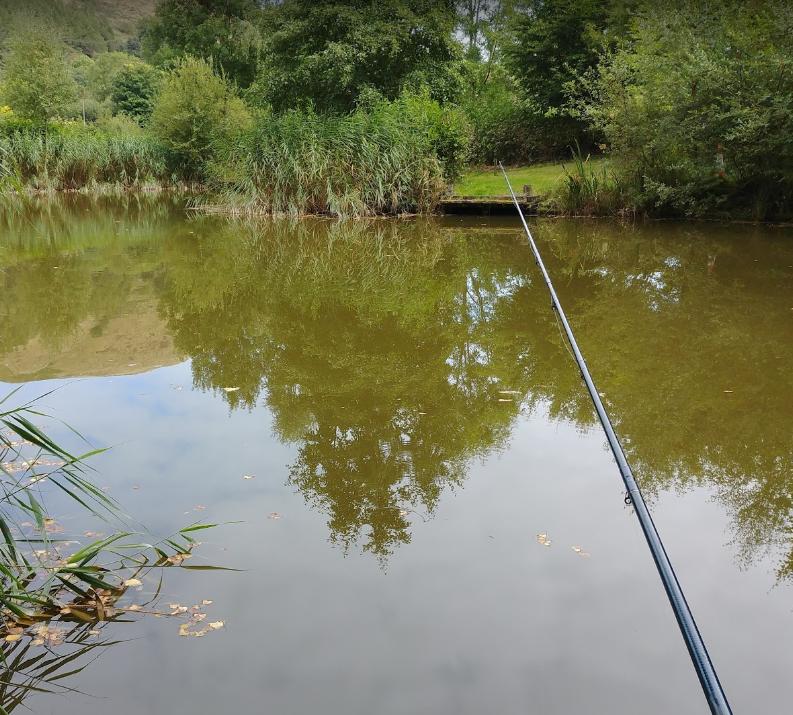 Bluebell Park Fishery