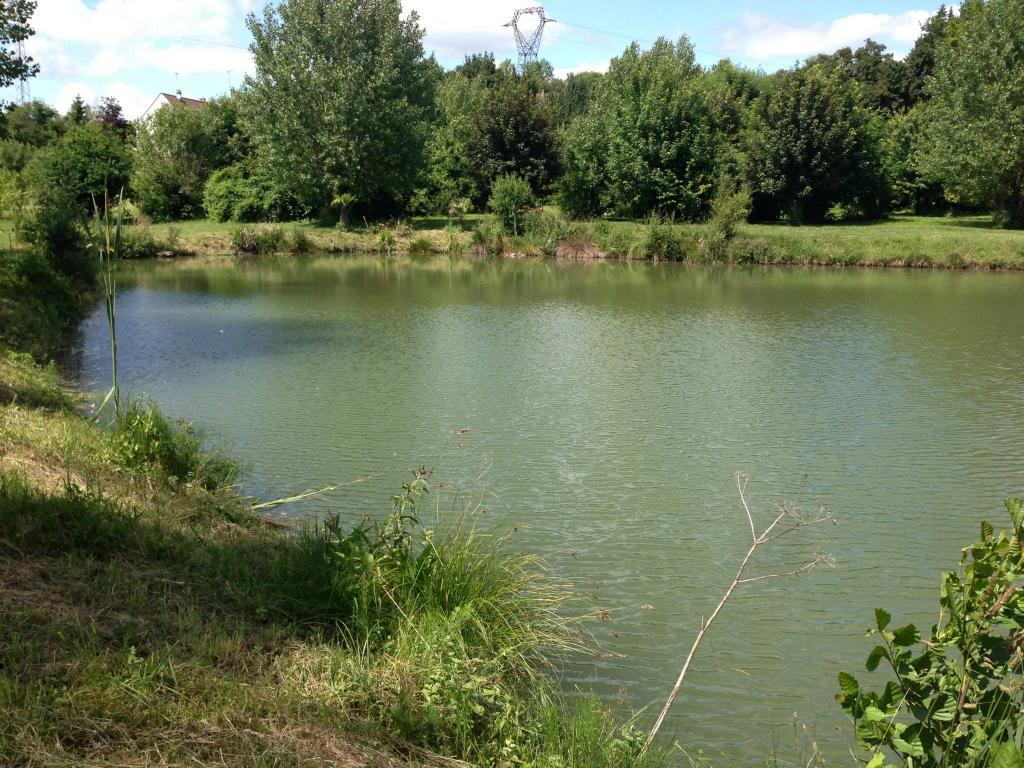 Etang des fauvettes