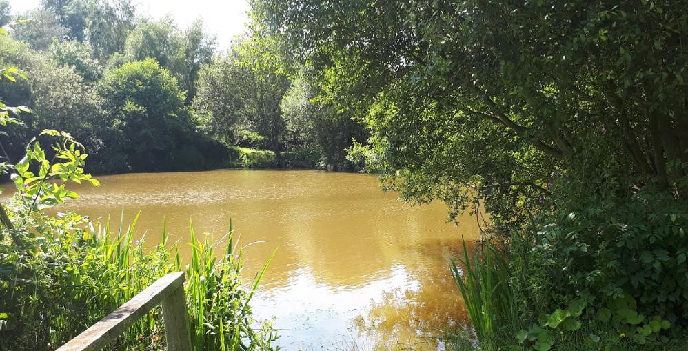 Chorley Springs Fishery