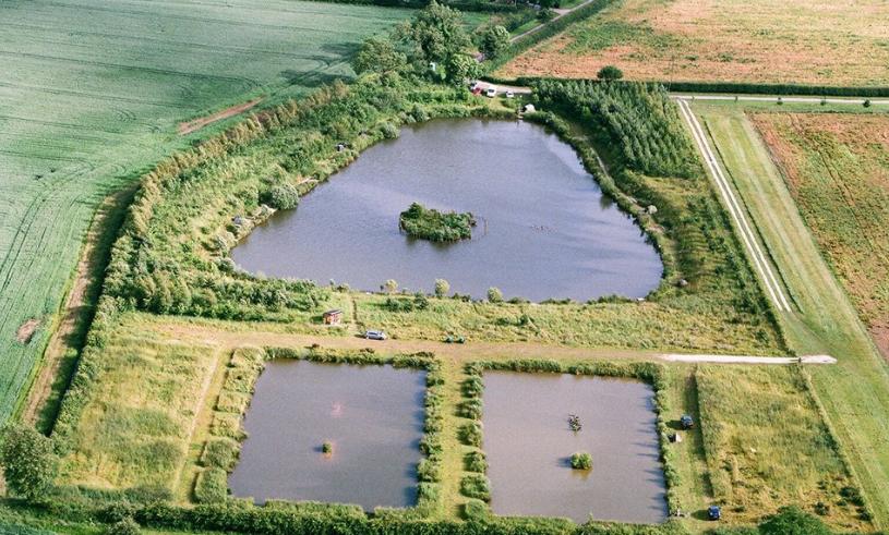 Rising Sun Fisheries