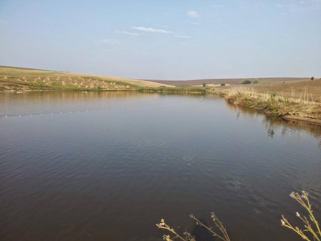 Balta Jijioara Movileni