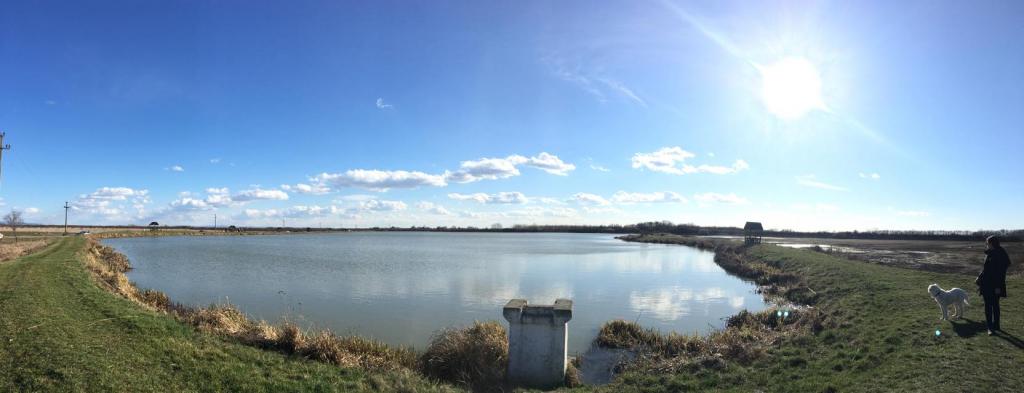 Ferma piscicola Bercu