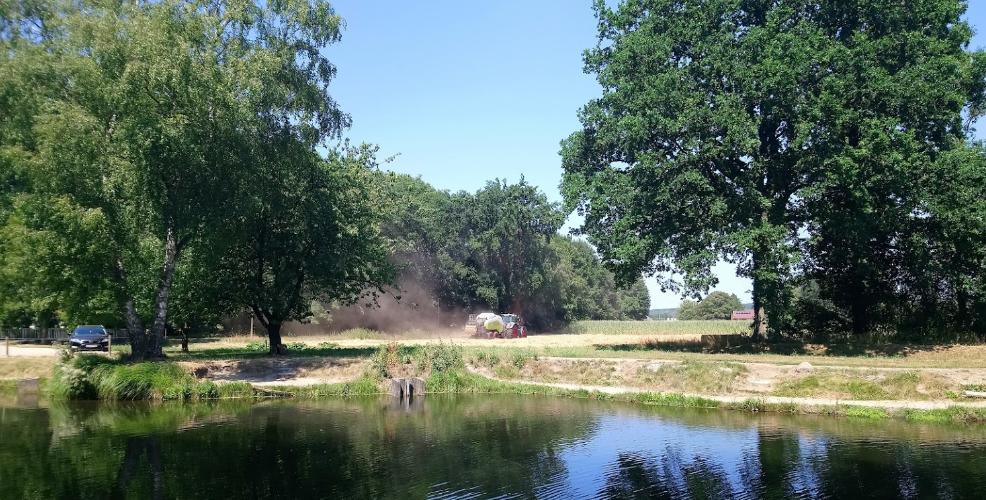 Forellengrund Müschen