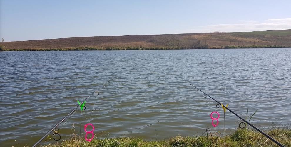 Balta Greaca Cercani