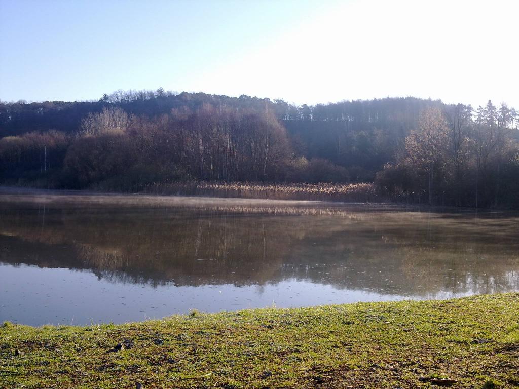 Liběchovský rybník