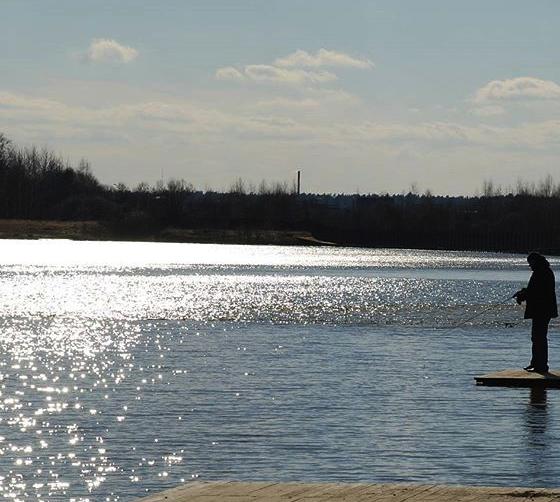 Золотые караси