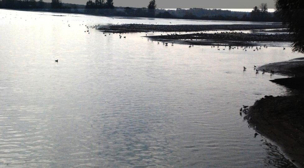 Бисеровский рыбокомбинат