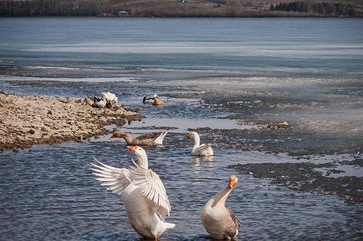 Удачный Брег