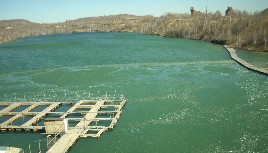 Зеркальный