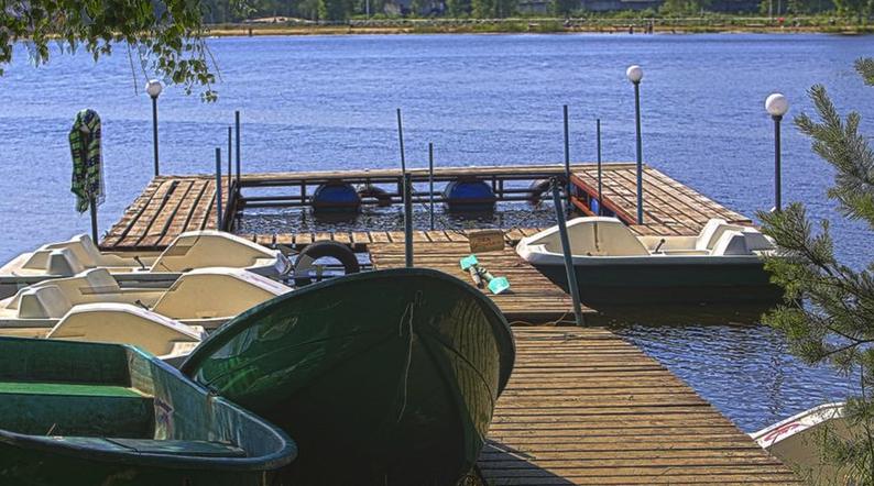 Алешина изба