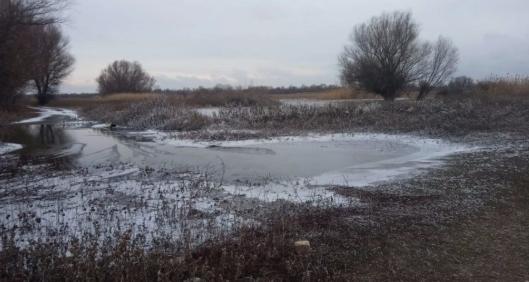 Судачье место